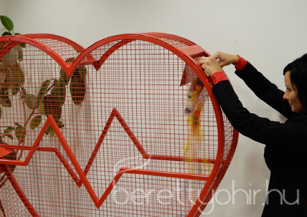 Elkészült Berettyóújfalu szíve 06